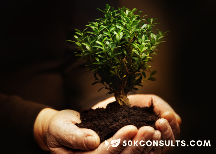 High-ticket offers from $50kconsults shows a man's hands holding soil and a growing tree with a brown background. The ivory leaf and 50kconsults.com logo appear in the bottom right corner. Heather Deveaux.