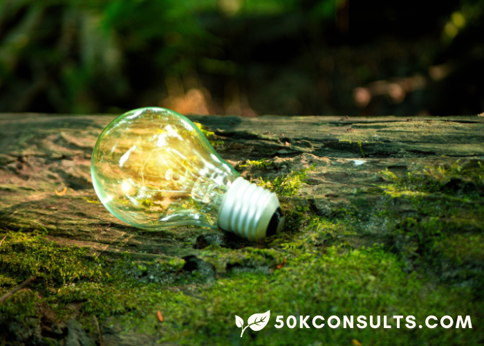 A light bulb is lying on a tree trunk covered in green moss. An ivory colored leaf and website address for 50kconsults.com appears in the bottom right corner. Heather Deveaux | Unscale Your Business